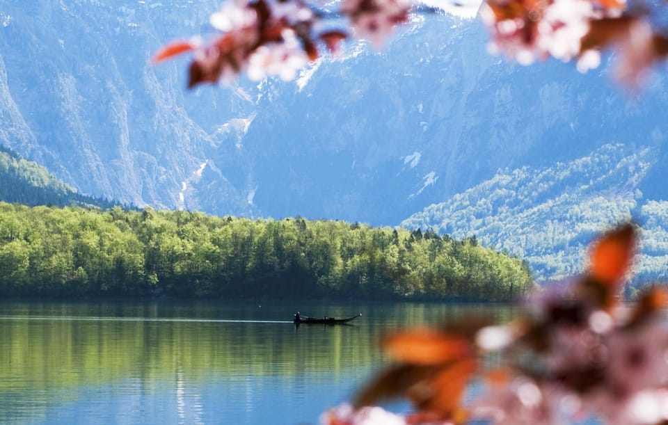 Lake view