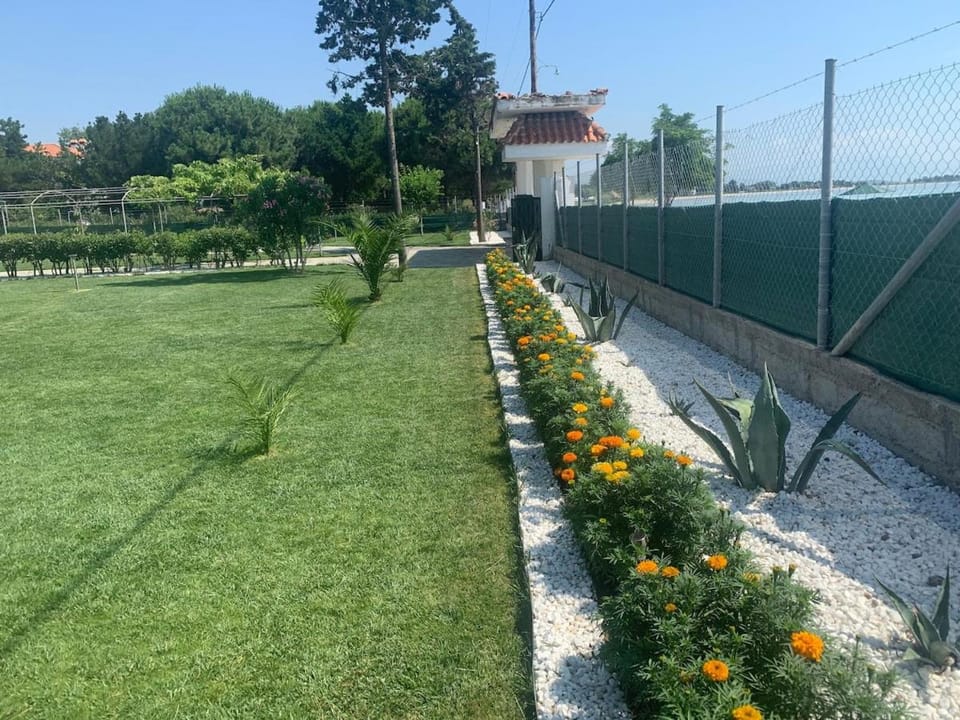 Garden, Garden, Garden view