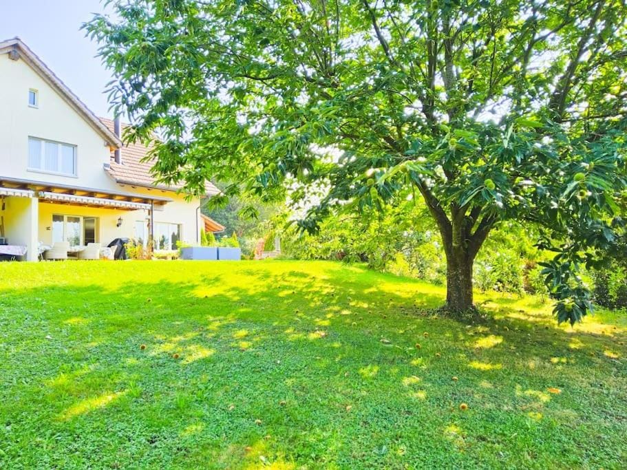 Property building, Spring, Day, Natural landscape, Garden, Garden view