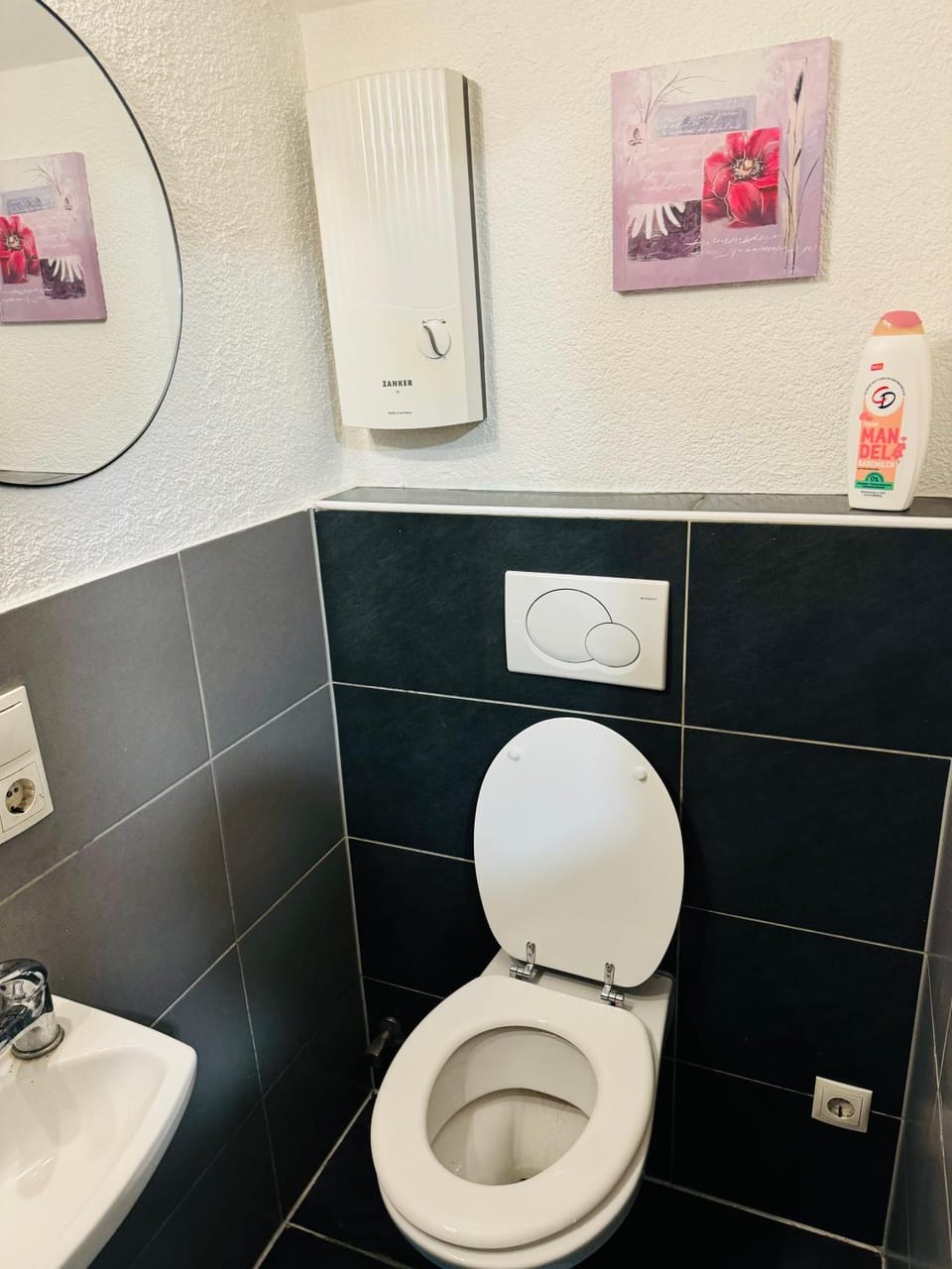 Kompakte & günstige Einzimmerwohnung Apartment in Koblenz