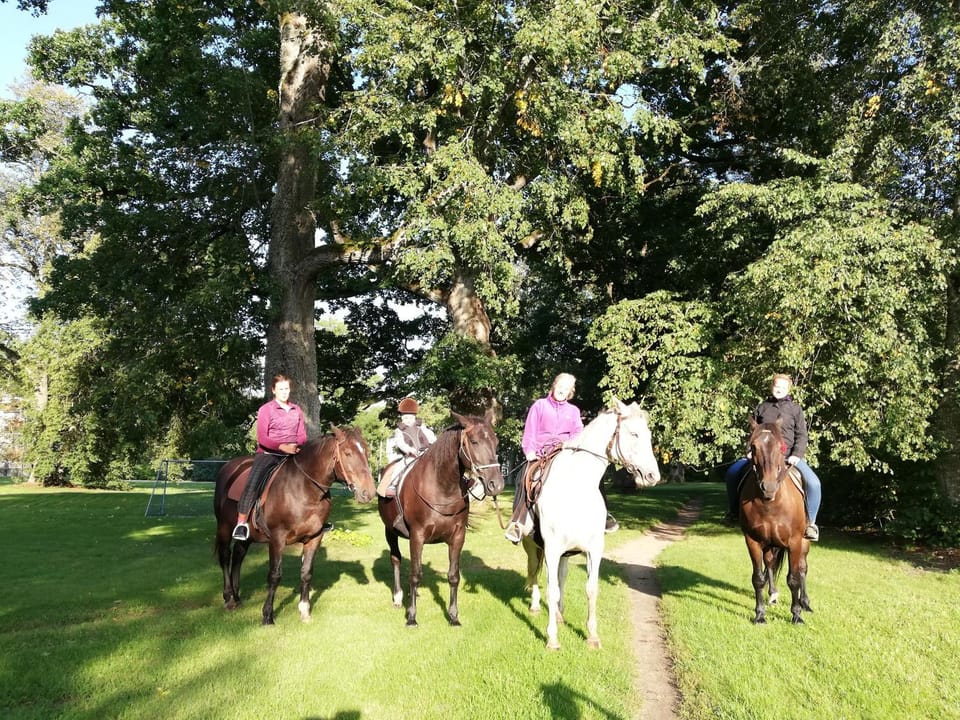 Horse-riding