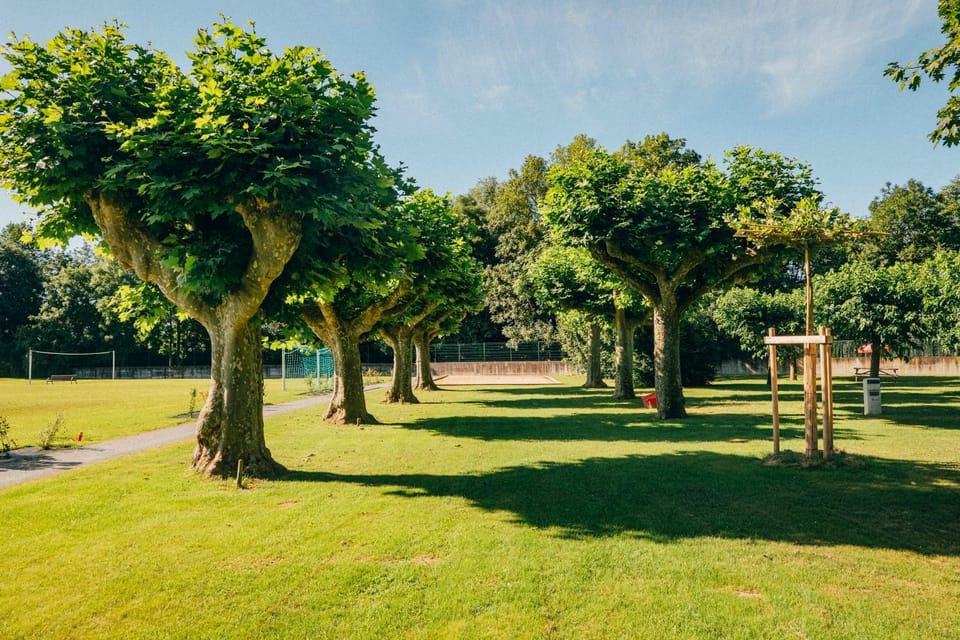 Spring, Day, Natural landscape, Garden, Garden, Sports