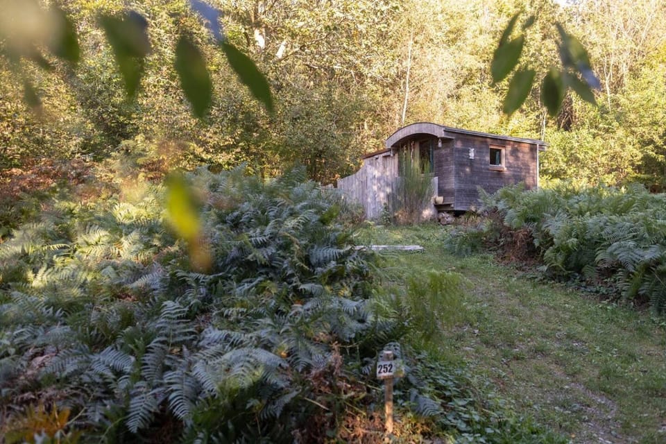 Roulotte de Maëlie Campground/ 
RV Resort in Wallonia, Belgium