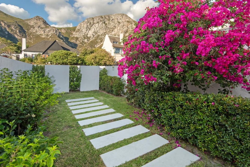 Fun in the Voelklip Sun House in Hermanus