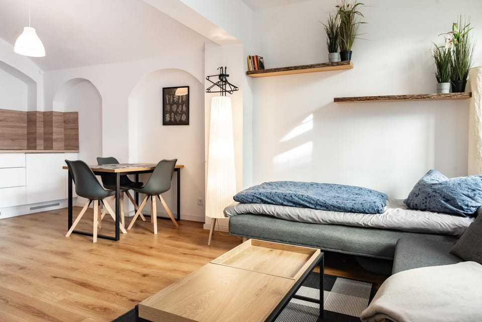 Gewölbewohnung mit Terrasse Apartment in Dresden-Neustadt