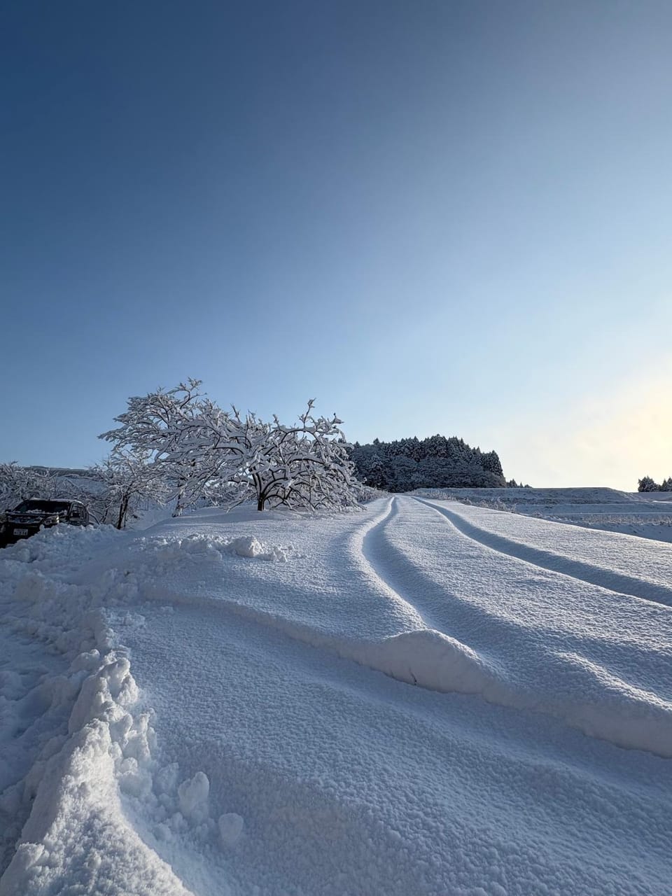 Natural landscape, Winter, Garden, Hiking
