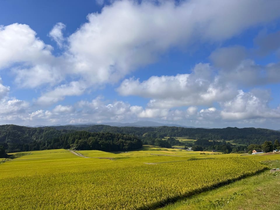 Natural landscape, Hiking, Mountain view
