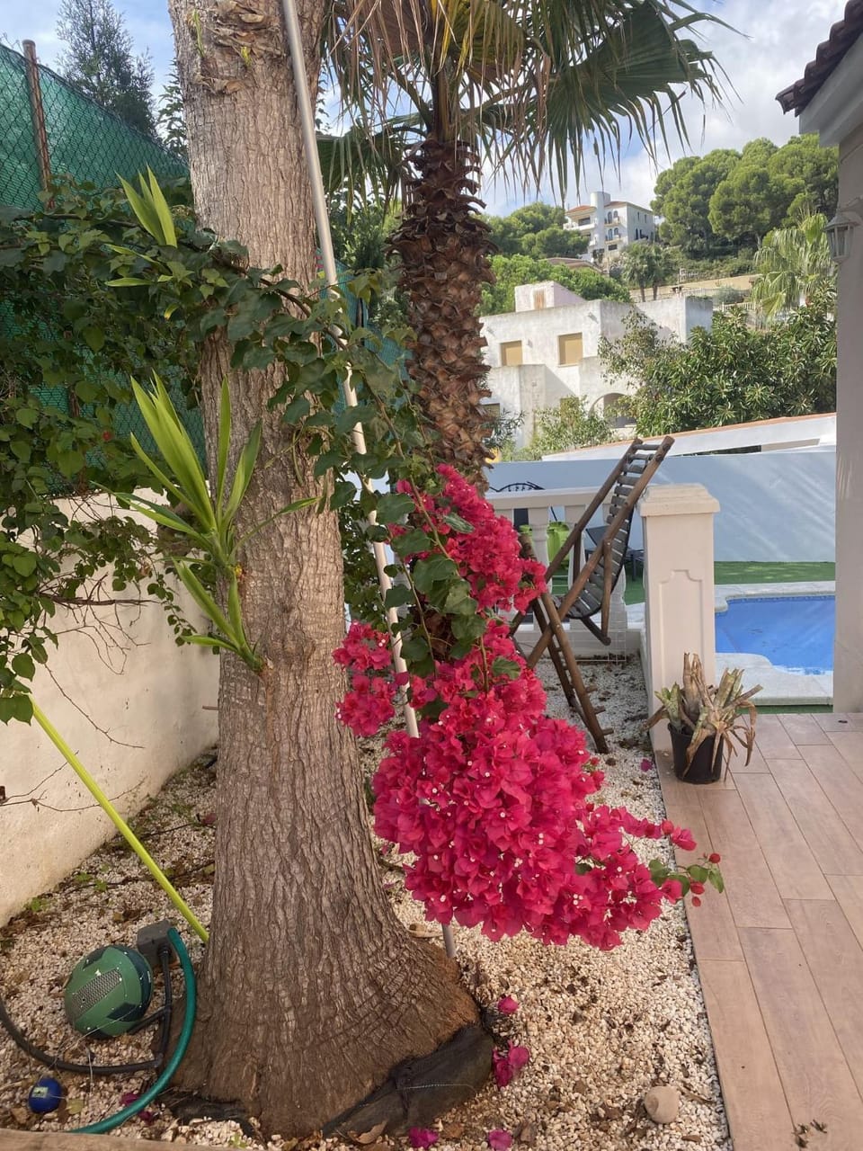 Inner courtyard view