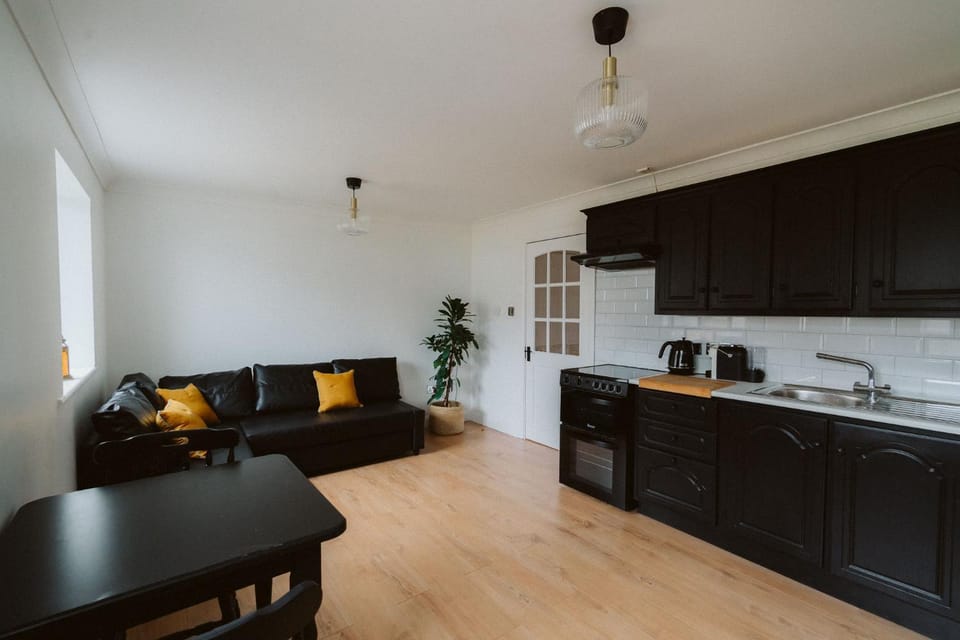 Kitchen or kitchenette, Living room, Seating area, Dining area, stove