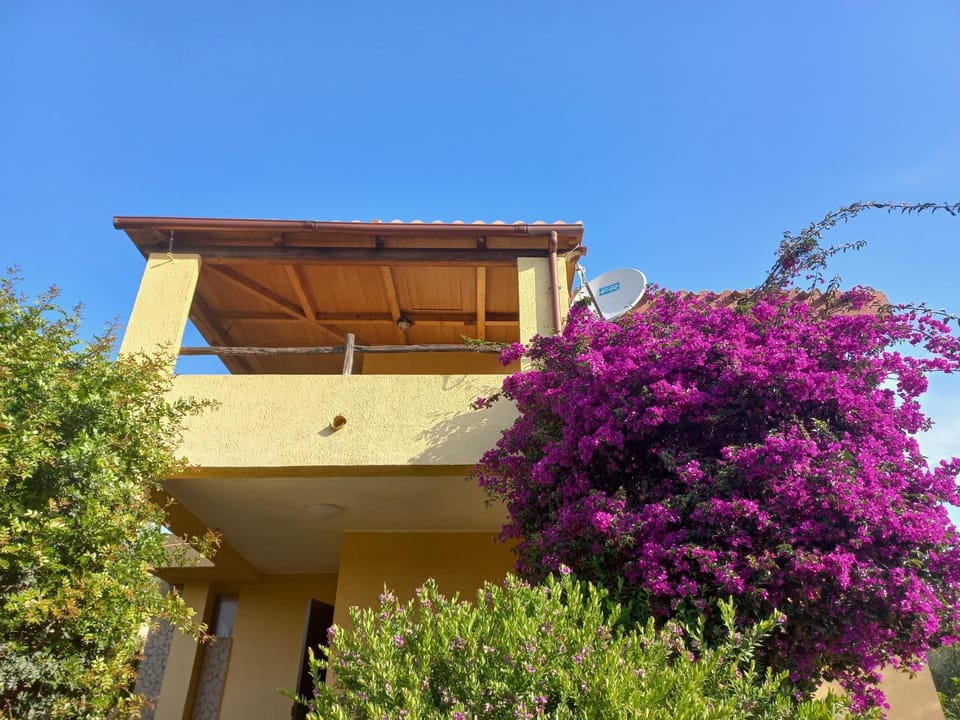 Property building, Balcony/Terrace