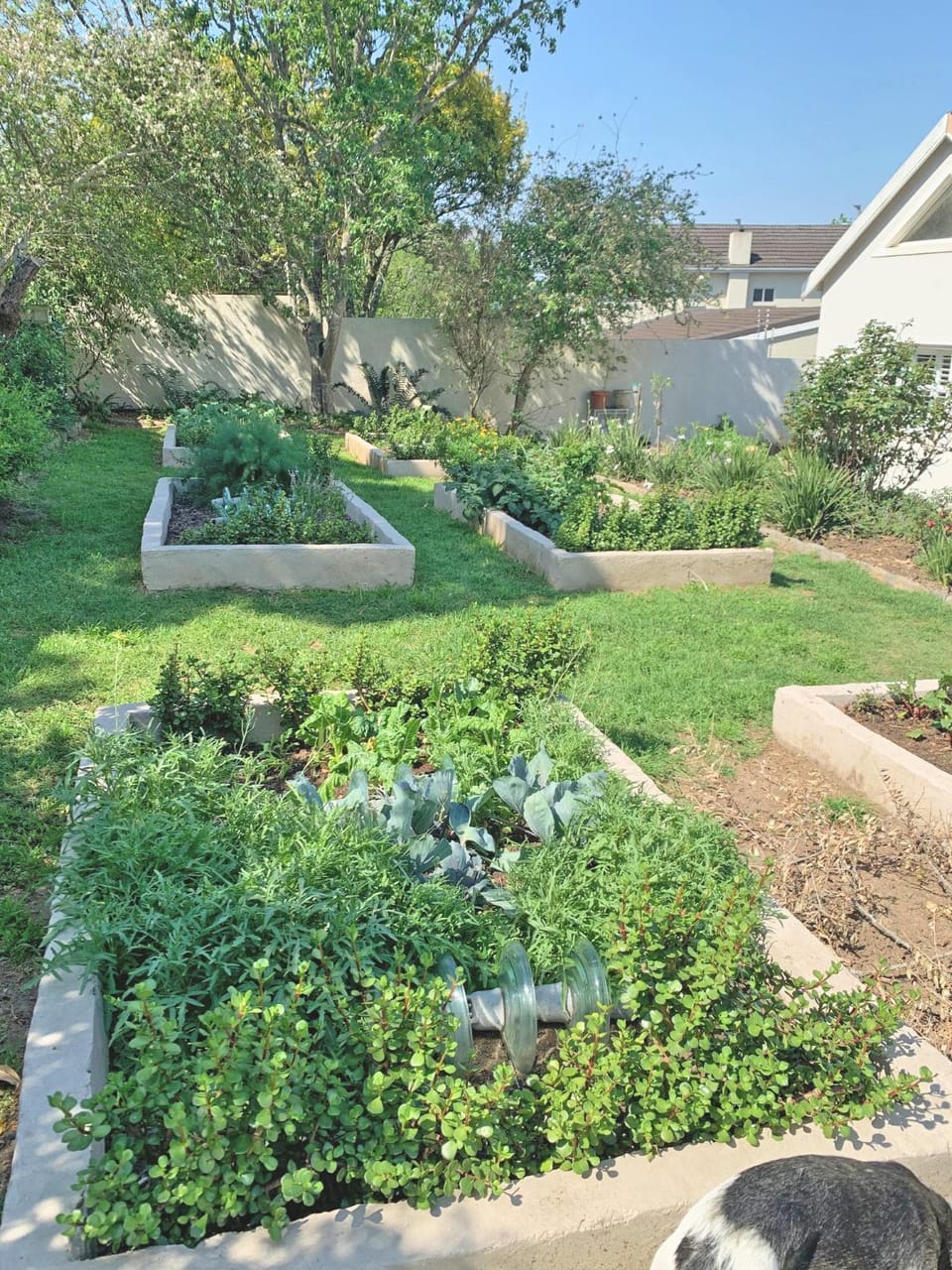 Property building, Garden