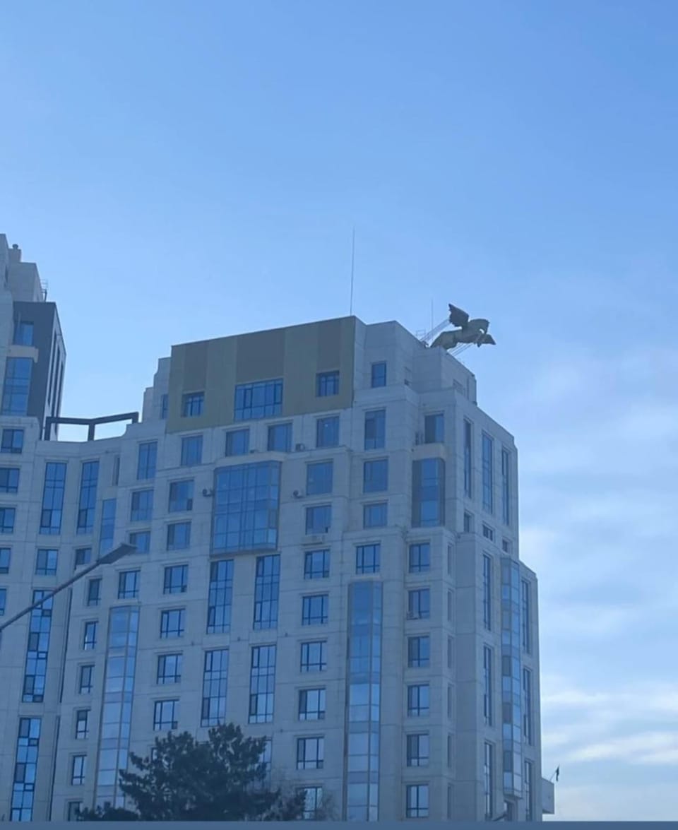 Property building, Day