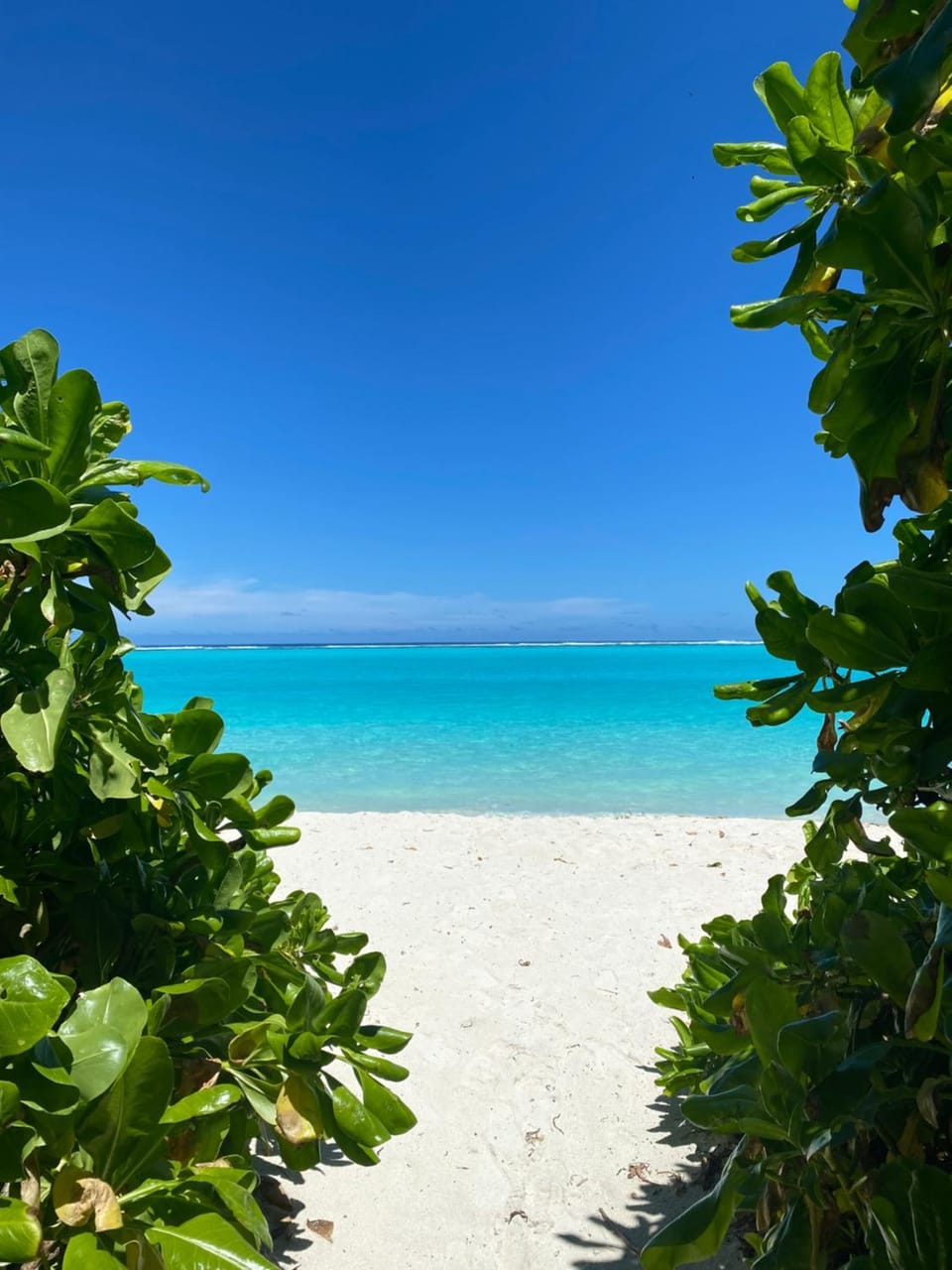 Day, Natural landscape, Beach
