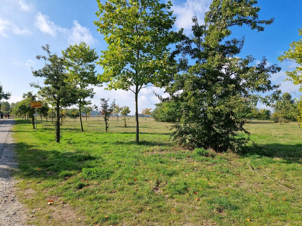 Heringsdorf, Ferienwohnung Seestern Apartment in Heringsdorf