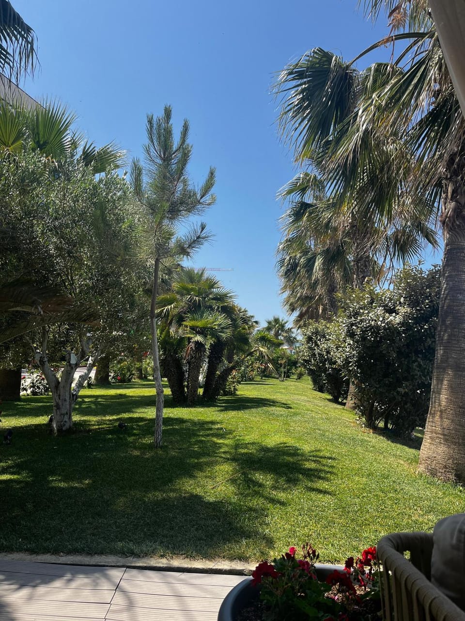Garden view
