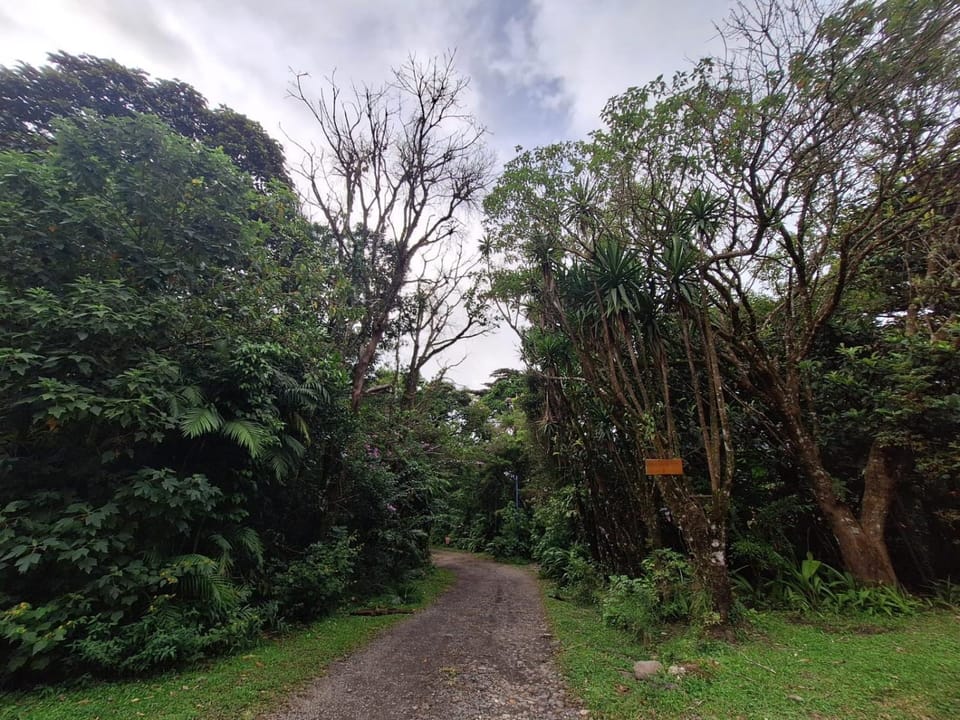 Natural landscape