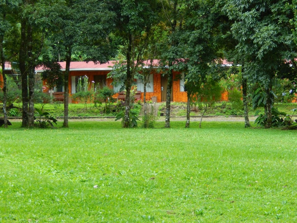Property building, Natural landscape, Garden view