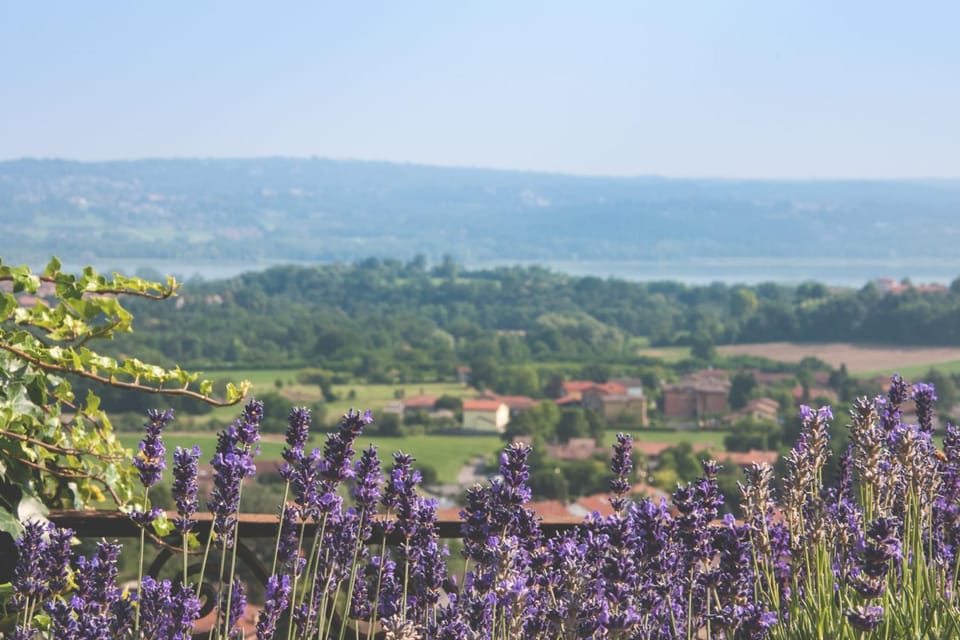 Natural landscape, Lake view