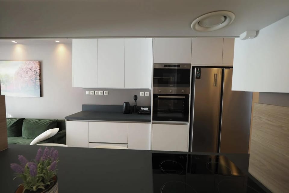 Coffee/tea facilities, Kitchen or kitchenette, minibar, oven, stove
