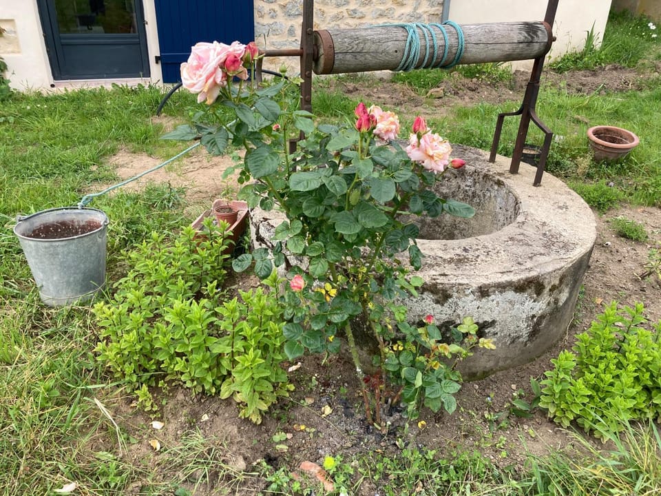 Les 9 Hirondelles Bed and Breakfast in Bourgogne-Franche-Comté