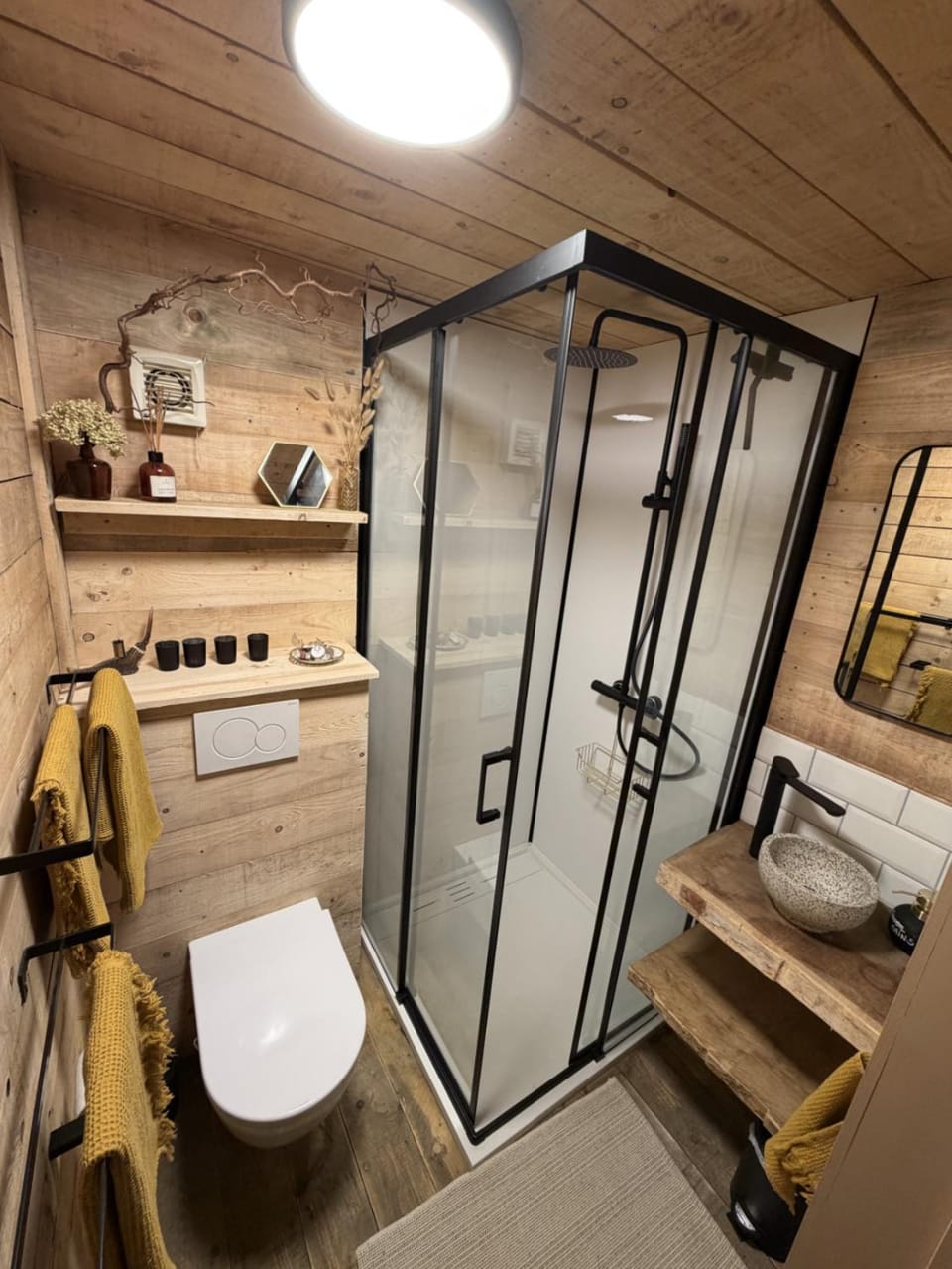 Shower, Toilet