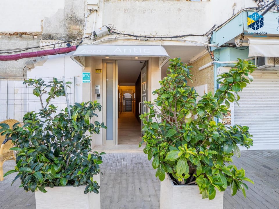 Apto Antic 202 Pax 4 Apartment in S'illot