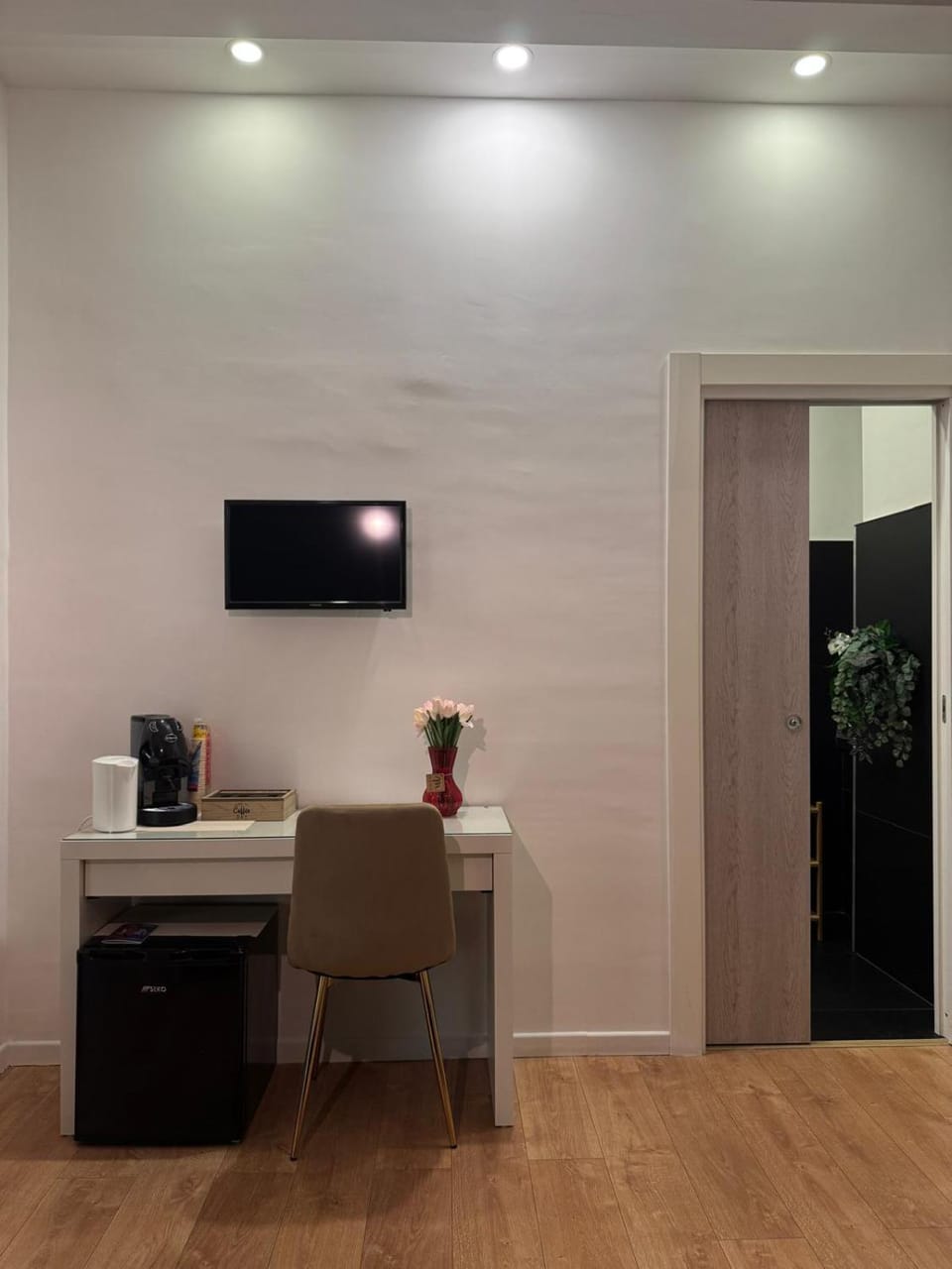 TV and multimedia