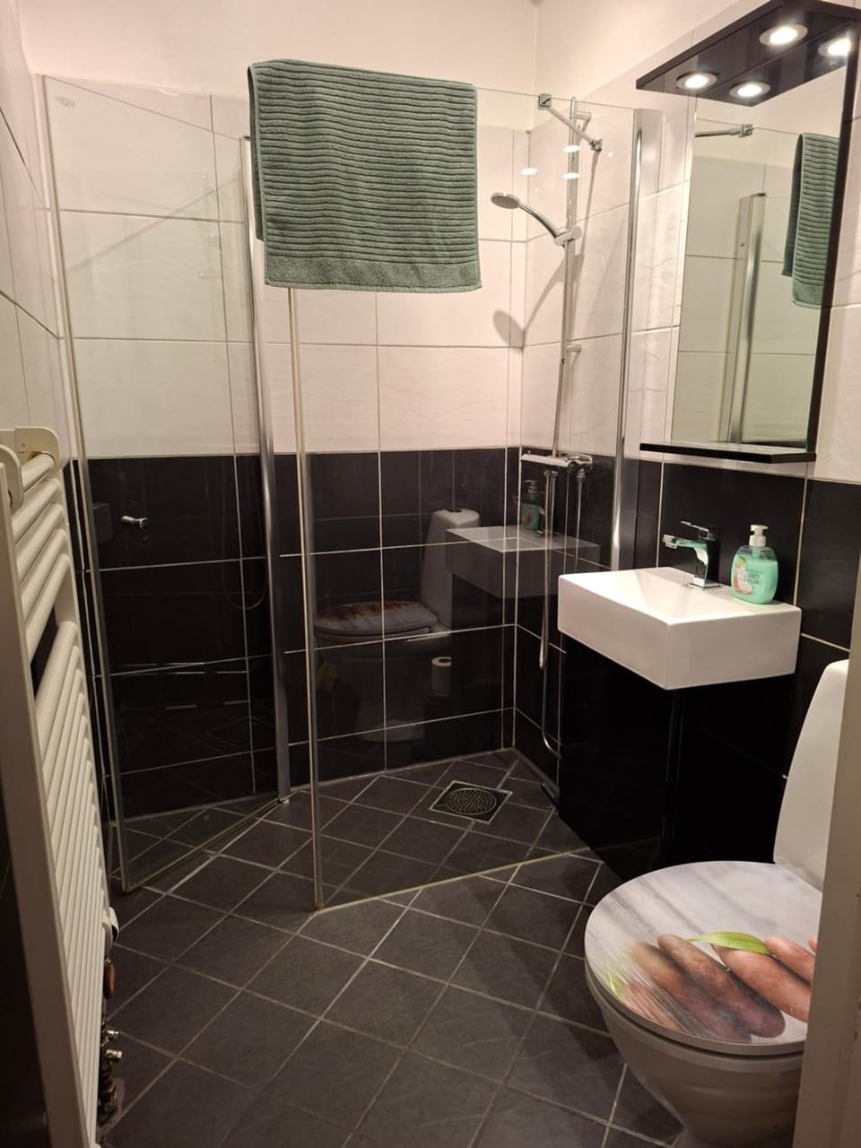 Ferienwohnung Paulo Apartment in Sweden