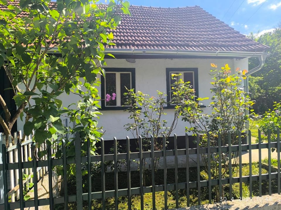 Property building, Spring, Garden, Garden view, Garden view