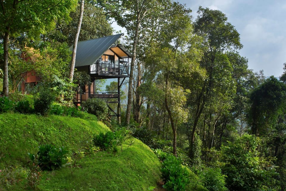 Property building, Day, Natural landscape