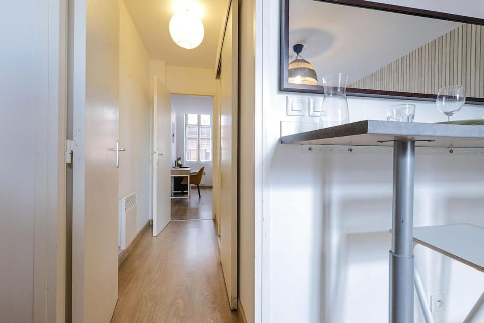 Le havre de paix Tolosan Apartment in Toulouse