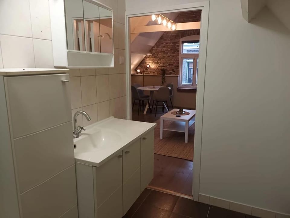 attic apartment in the center Apartment in Gouda