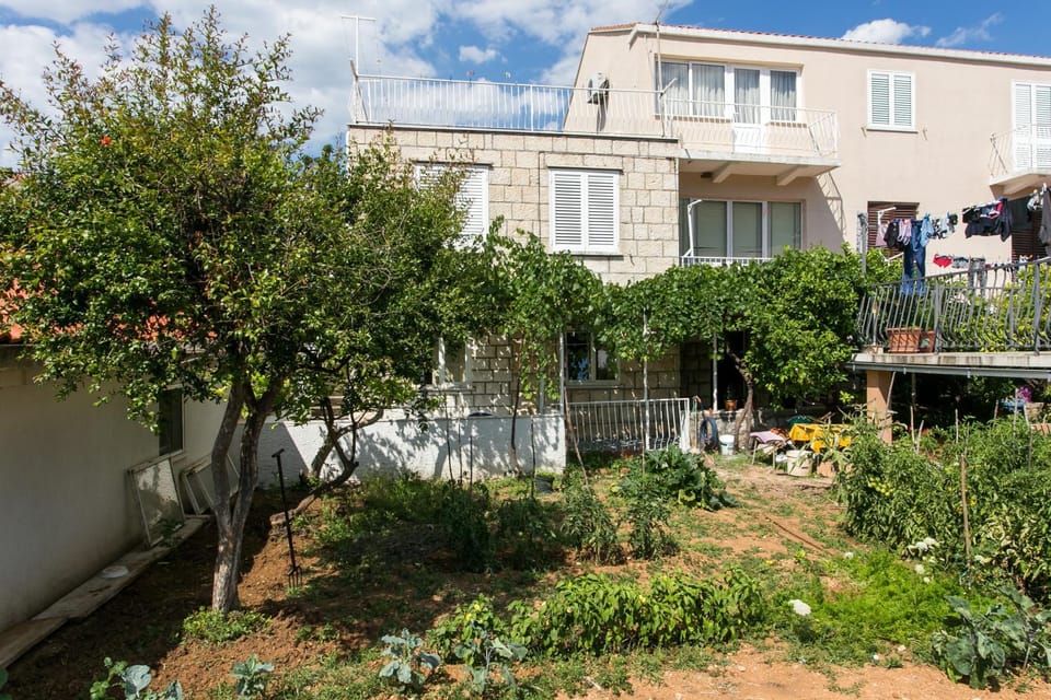 Facade/entrance, Garden