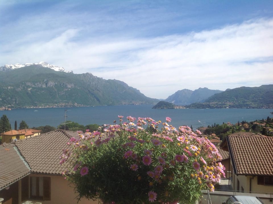Day, River view