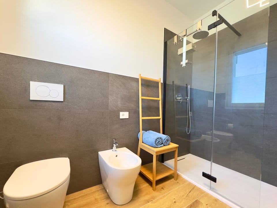 Shower, Toilet, bidet, hair dryier, towels