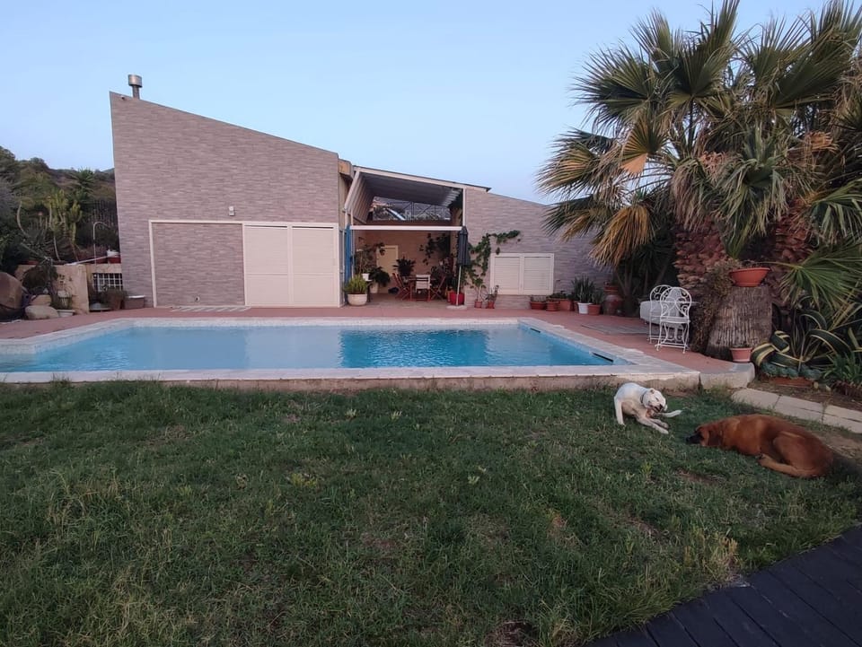 Garden, Solarium, Pool view, Swimming pool