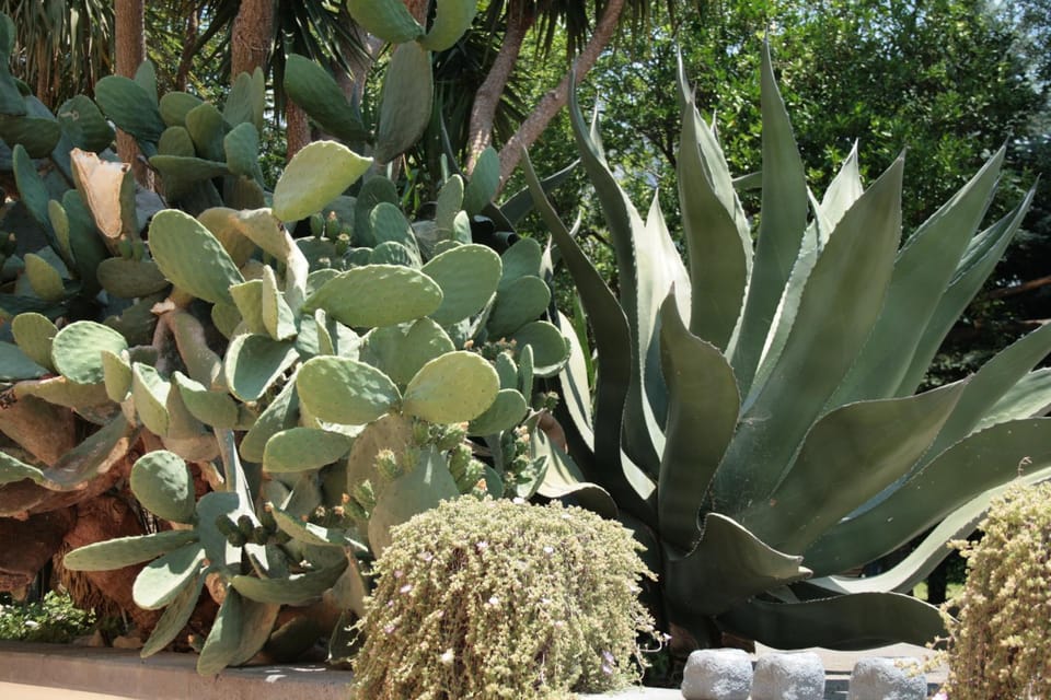 Spring, Day, Garden, On site, Garden view