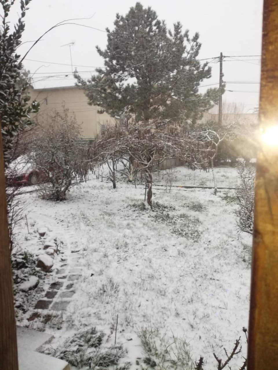 Winter, Garden, Garden view