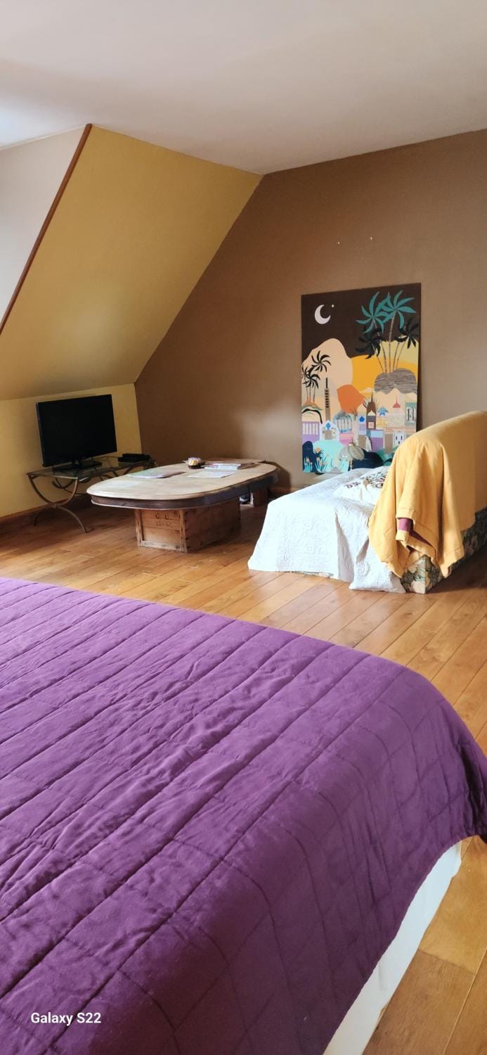Champagne Lit King Size Bed and Breakfast in Troyes