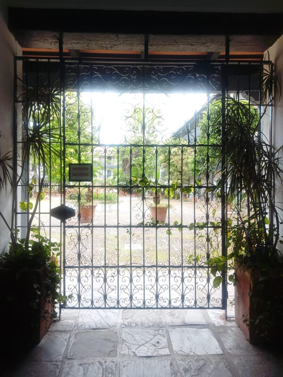 Day, Garden, View (from property/room), Garden view