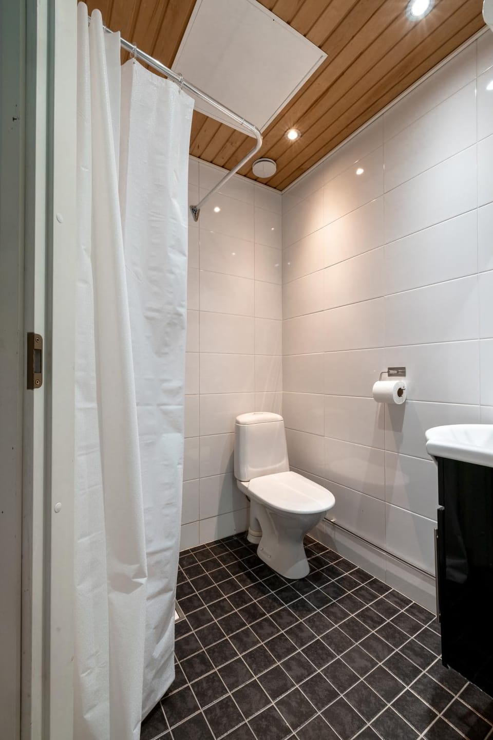 Shower, Toilet, Bathroom, bidet