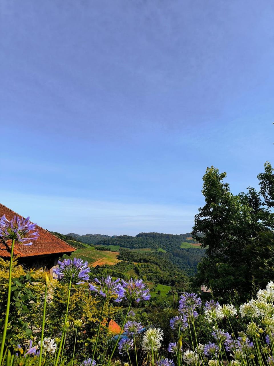 Borghetto Inn – Charm and Exclusivity in the Vale dos Vinhedos Nature lodge in Bento Gonçalves