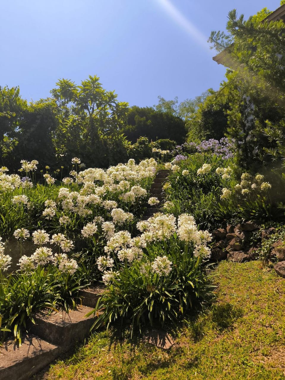 Borghetto Inn – Charm and Exclusivity in the Vale dos Vinhedos Nature lodge in Bento Gonçalves