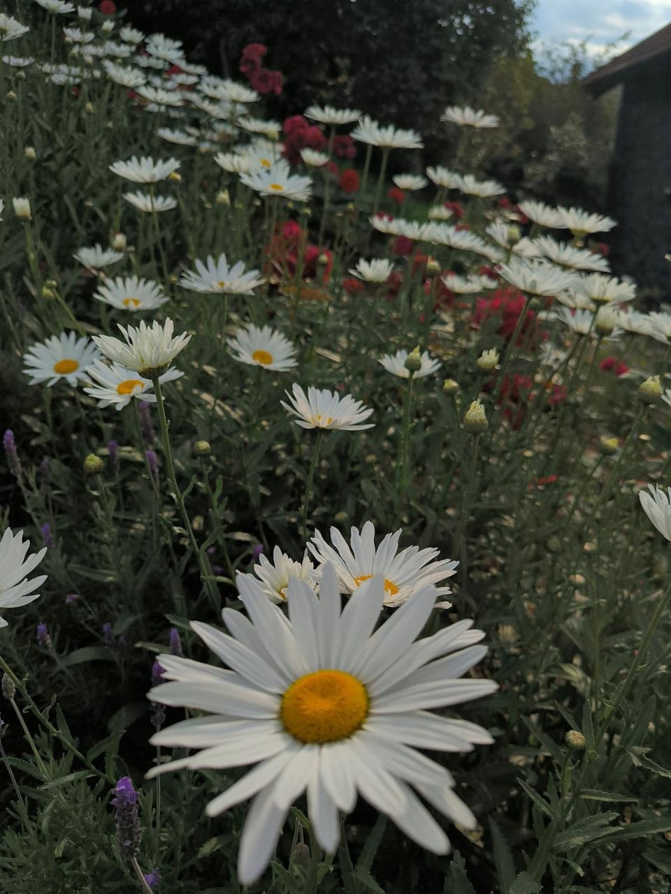 Borghetto Inn – Charm and Exclusivity in the Vale dos Vinhedos Nature lodge in Bento Gonçalves
