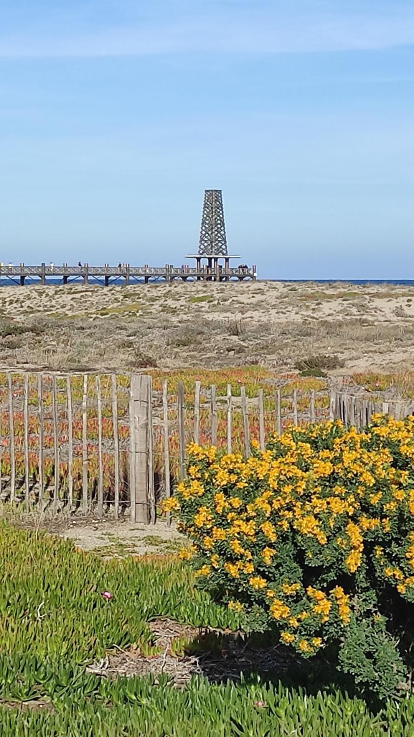 Nearby landmark, Natural landscape