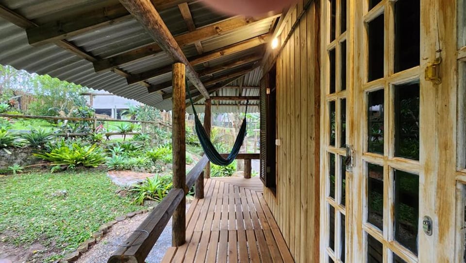 Day, Garden, Garden view