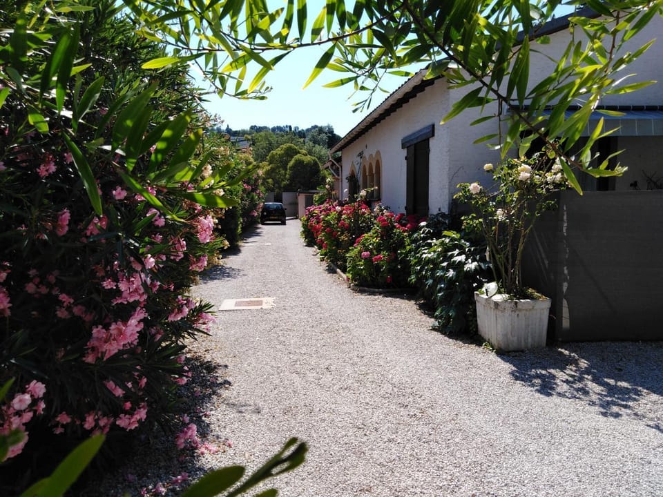 Inner courtyard view