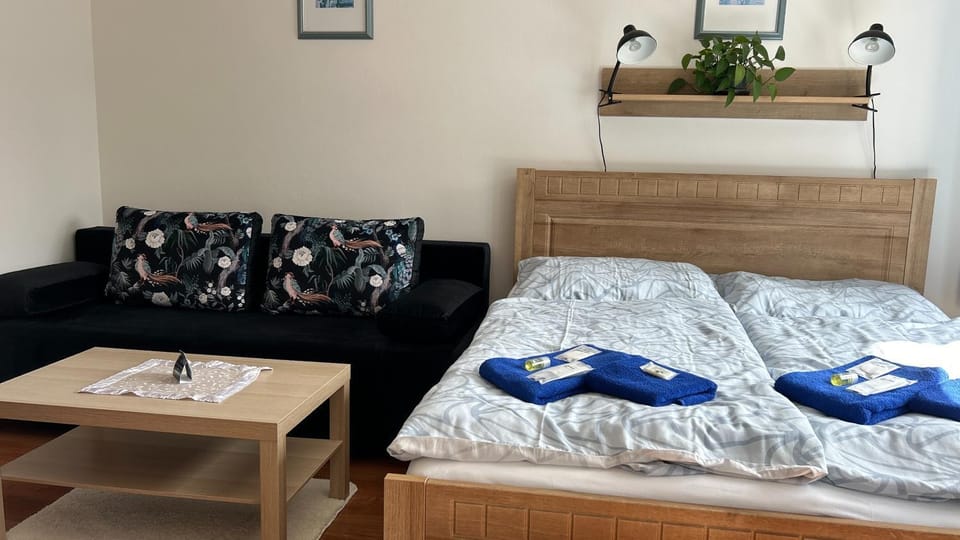 Photo of the whole room, Bedroom, towels
