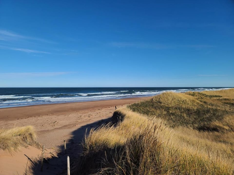 Natural landscape, Beach