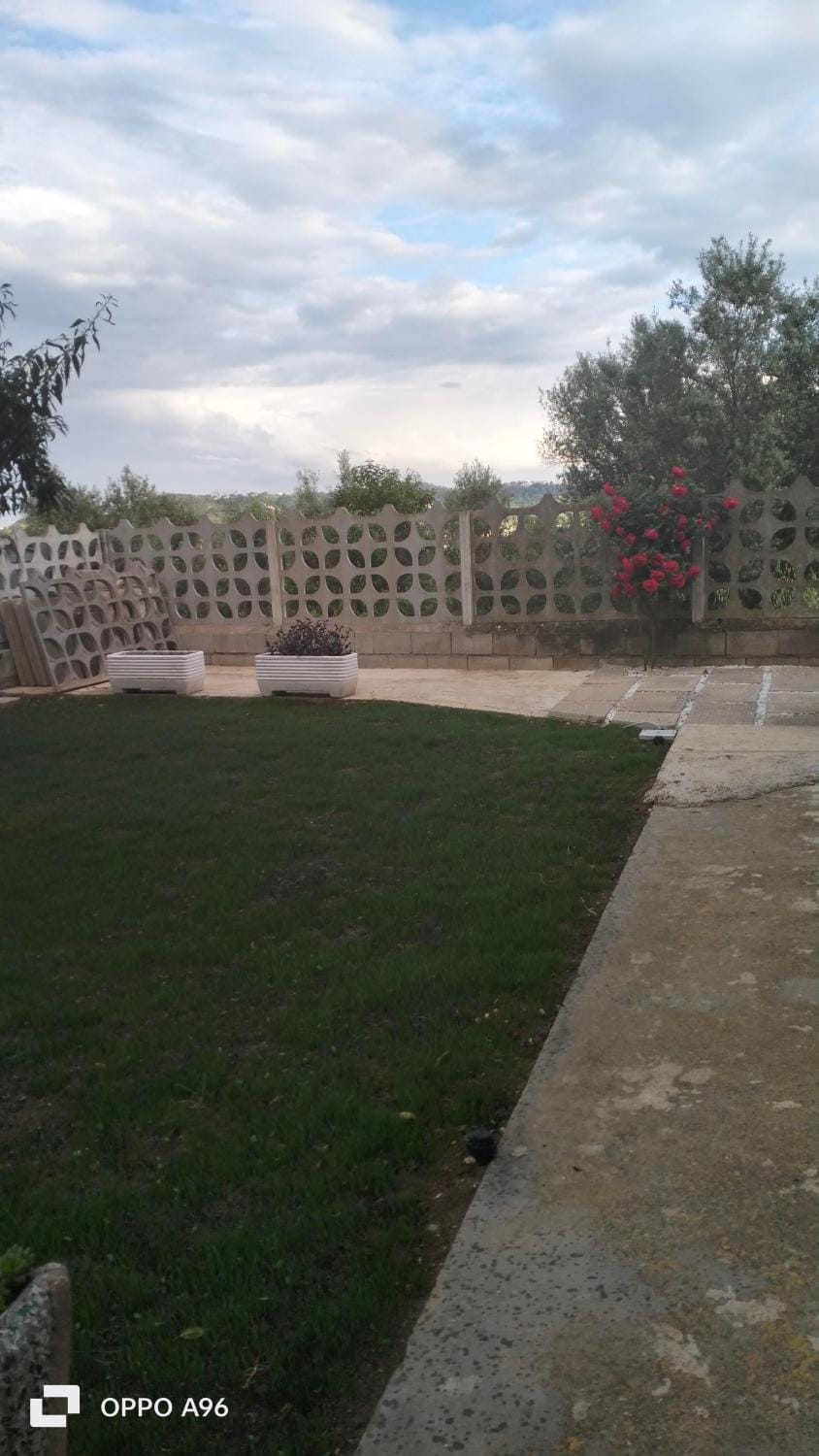 Almond b&b Bed and Breakfast in Montesilvano
